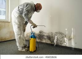 Environmental Consulting for Mold Prevention in Montclair, CA